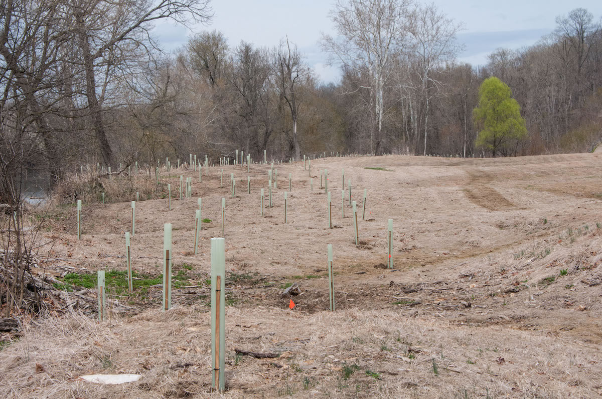 university-efforts-to-reforest-river-campus-tributaries-highlighted-by